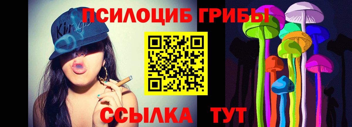 Псилоцибиновые грибы GOLDEN TEACHER  Псилоцибиновые грибы мицелий  Вход с VPN  Хасавюрт 